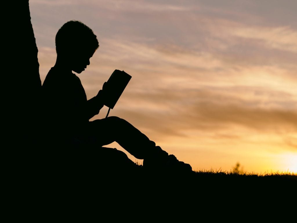 aaron-burden-6jYoil2GhVk-unsplash aaron-burden-6jYoil2GhVk-unsplash